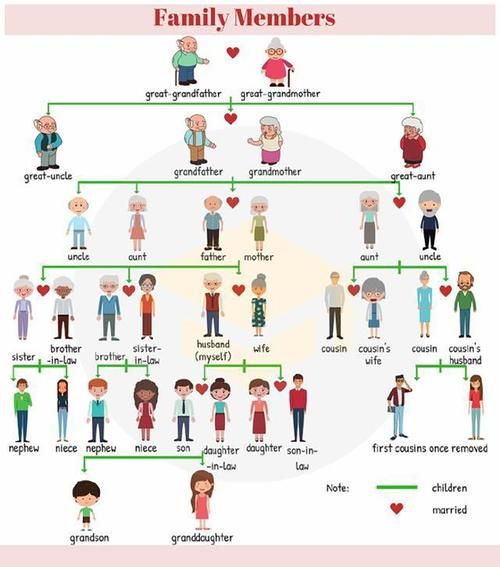 英文家族名字(家族名字對家族成員有什么影響)