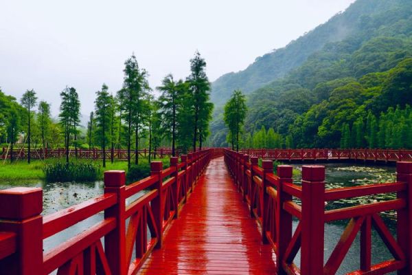 從化景點(diǎn)(還是去探索石門國(guó)家森林公園的神秘)