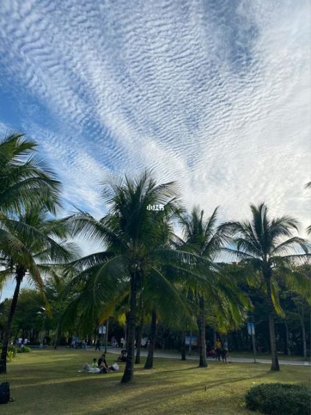 海南今天的天氣情況(海邊適合玩水嗎)