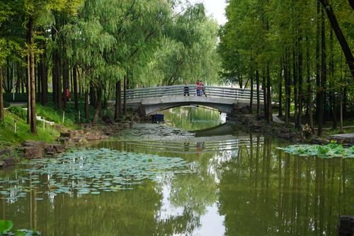 上海大寧靈石公園(上海大寧靈石公園值得去嗎)