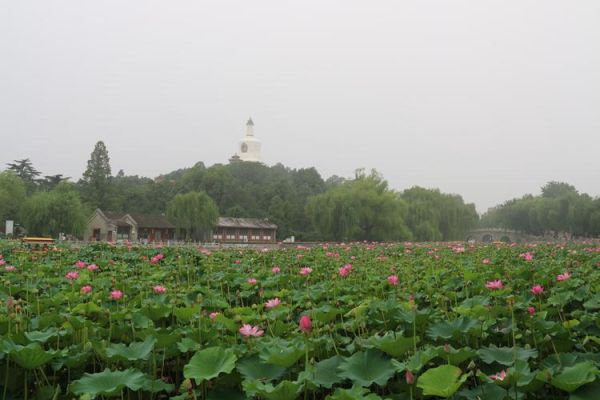 北海公園(還有哪些景點值得一看)