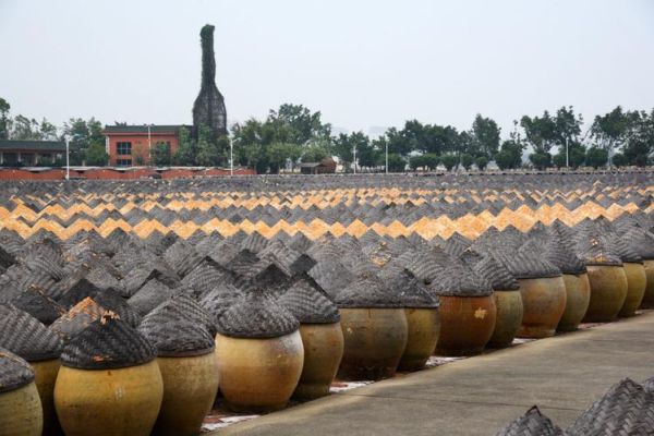 廈門古龍醬文化園(廈門古龍醬文化園值得去嗎)