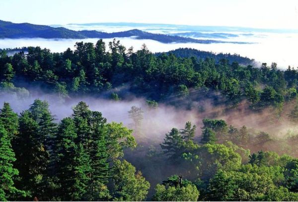 小興安嶺旅游( 去哪里才能看到最美的風(fēng)景)