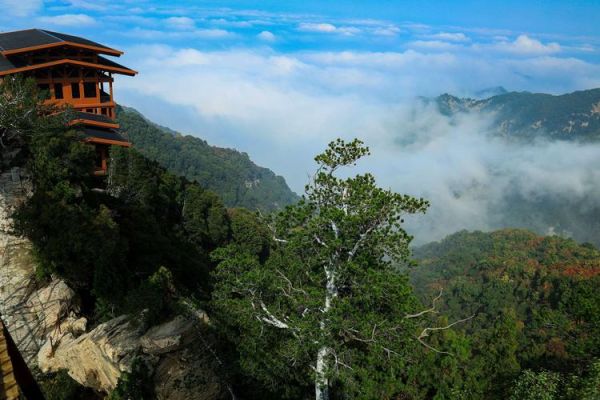 少華山國(guó)家森林公園(你更想體驗(yàn)?zāi)膫€(gè))