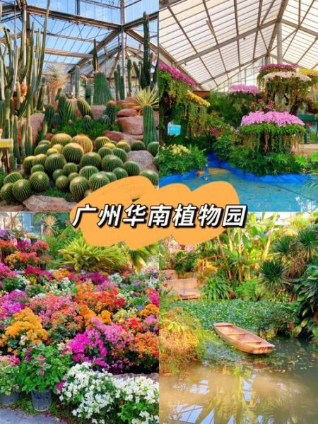 廣州華南植物園好玩嗎(里面有哪些觀賞區(qū))