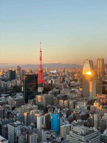 日本東京塔(能看到富士山嗎)