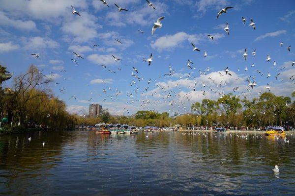 昆明一日游(去翠湖公園還是去滇池海埂公園)