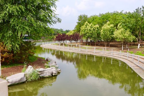 河濱公園(孩子們都喜歡嗎)