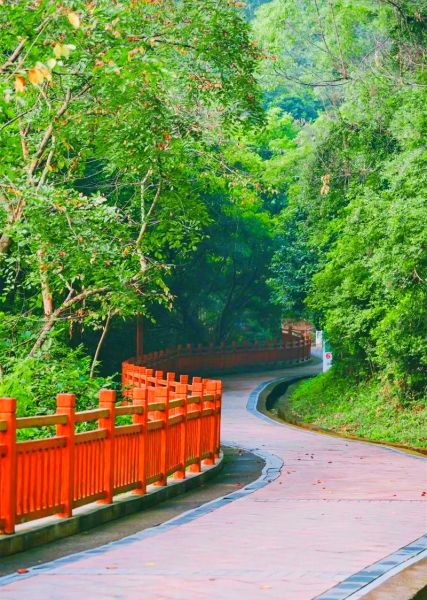 深圳鳳凰山(綠道風(fēng)景怎么樣)