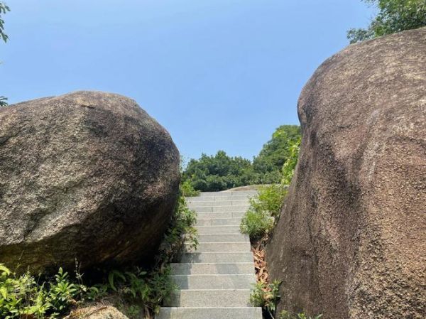 深圳鳳凰山(綠道風(fēng)景怎么樣)