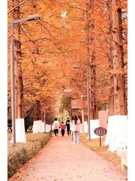 花溪公園(你聽(tīng)說(shuō)過(guò)哪些故事)