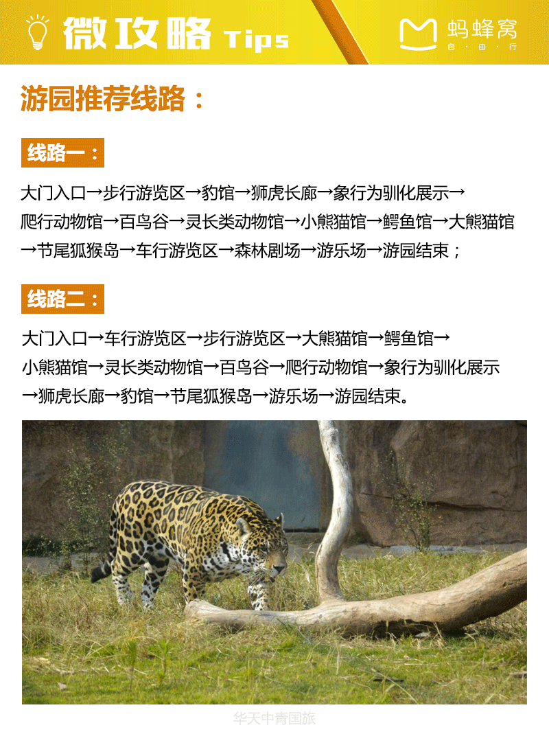 長(zhǎng)沙新動(dòng)物園(哪些項(xiàng)目最適合你呢)