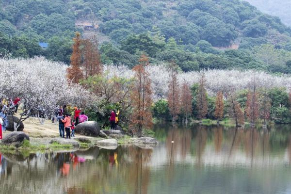 香雪公園(現(xiàn)在是最佳觀賞期嗎)