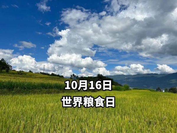 10月16日是什么節(jié)日(它和世界糧食日有什么聯(lián)系)