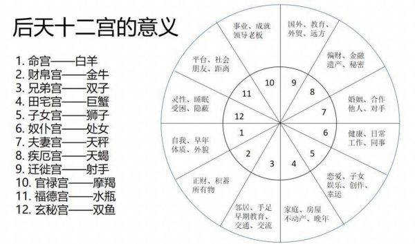 命宮星座分析(你的事業(yè)會(huì)成功嗎)