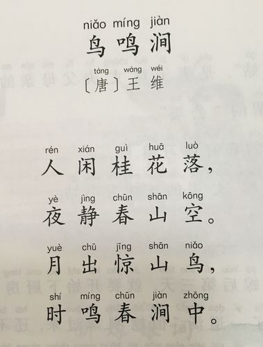 月出驚山鳥(niǎo) 時(shí)鳴春澗中(鳥(niǎo)鳴聲是怎樣的)