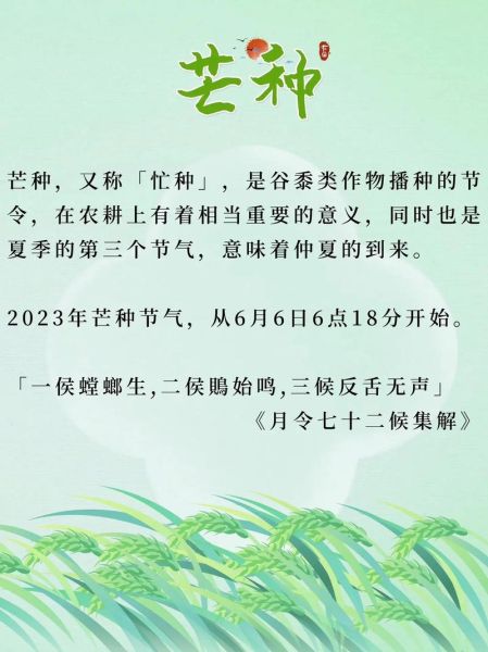 芒種是哪天(今年芒種是什么時(shí)候)