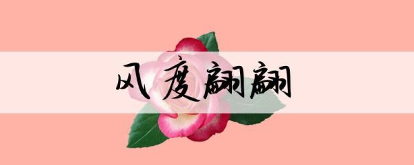 風(fēng)度翩翩造句(還是精致的外表)