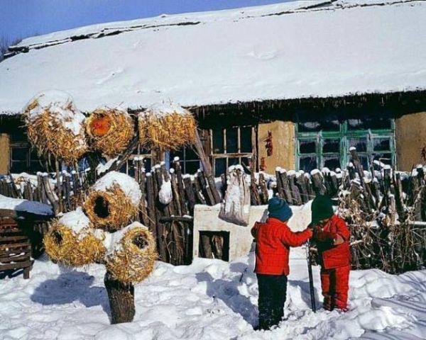 東北農(nóng)村生活(究竟是詩情畫意還是柴米油鹽)