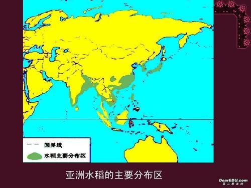 生活中的地理現(xiàn)象(  為什么有些地方更適合種水稻)