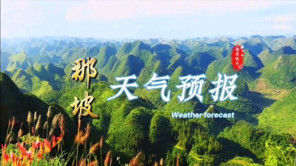 那坡天氣預(yù)報(bào)15天查詢(我需要提前準(zhǔn)備嗎)